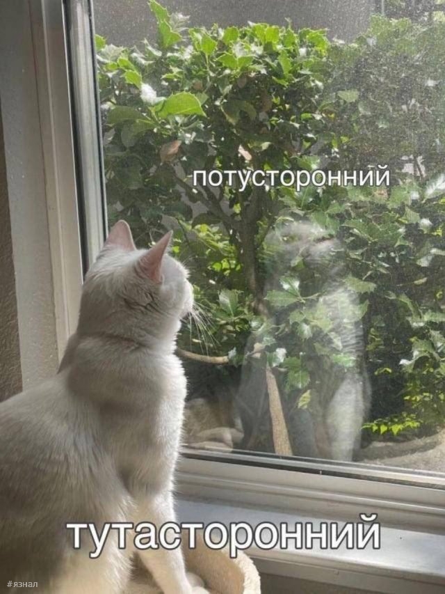 Смешные картинки со смыслом