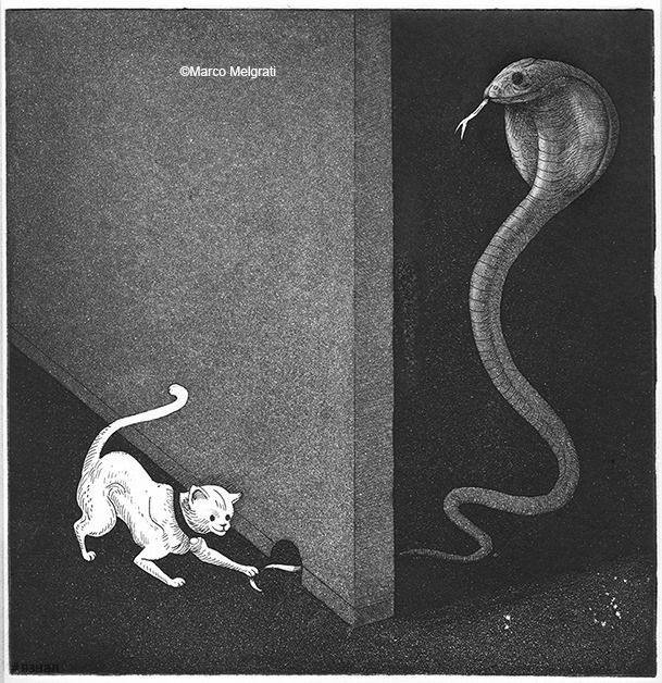 Картинки со смыслом