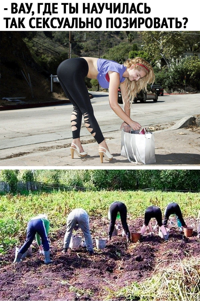 Юмор в картинках