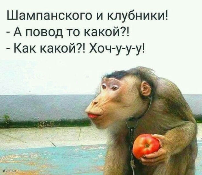 Юмор в картинках