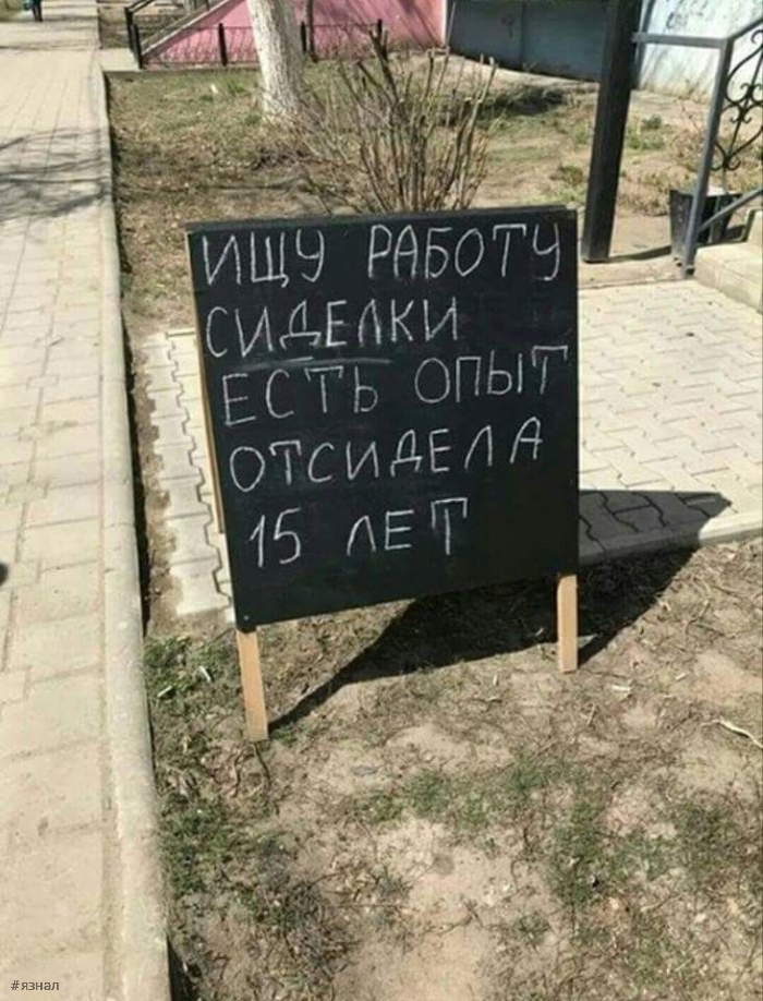 Юмор в картинках