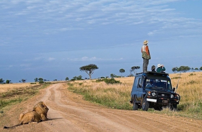 Юмор в картинках