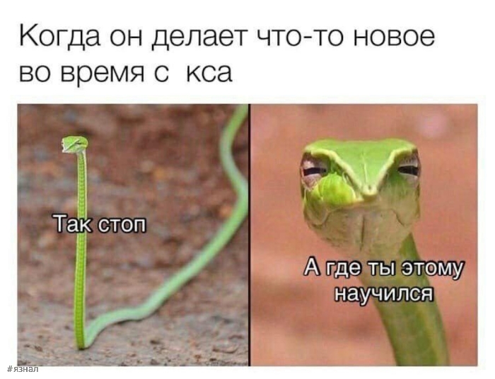 Пошлый юмор