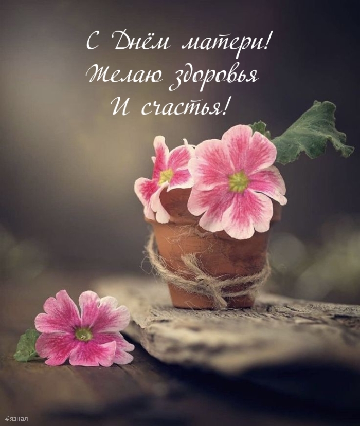 С днем Матери