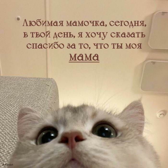 С днем Матери