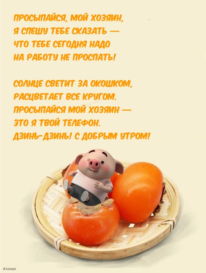 Приколы с добрым утром