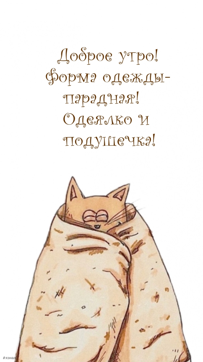 Приколы с добрым утром