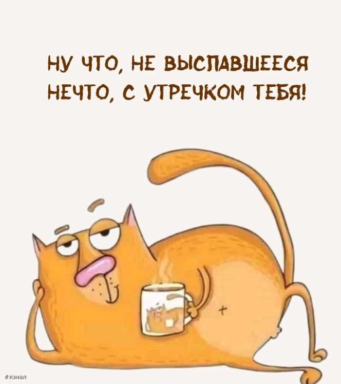 Приколы с добрым утром