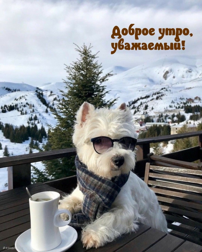 Приколы с добрым утром