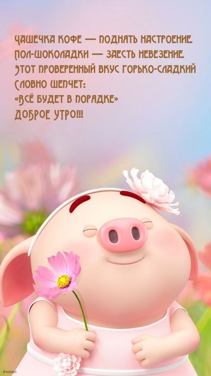 Приколы с добрым утром