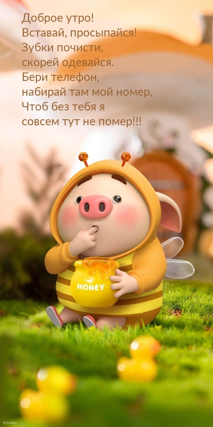 Приколы с добрым утром