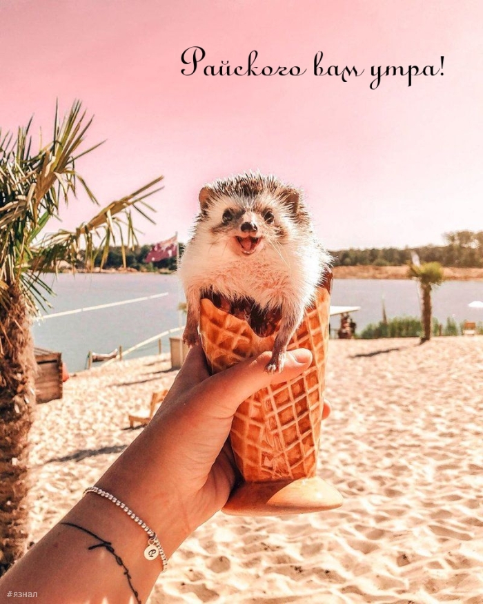 Приколы с добрым утром