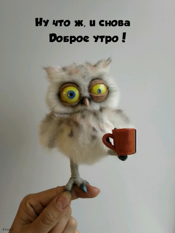 Приколы с добрым утром