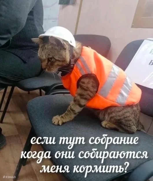 Смешной юмор в картинках