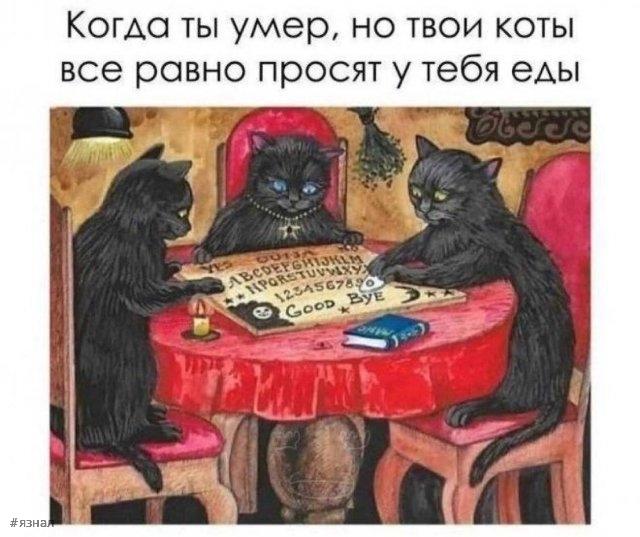 Смешной юмор в картинках