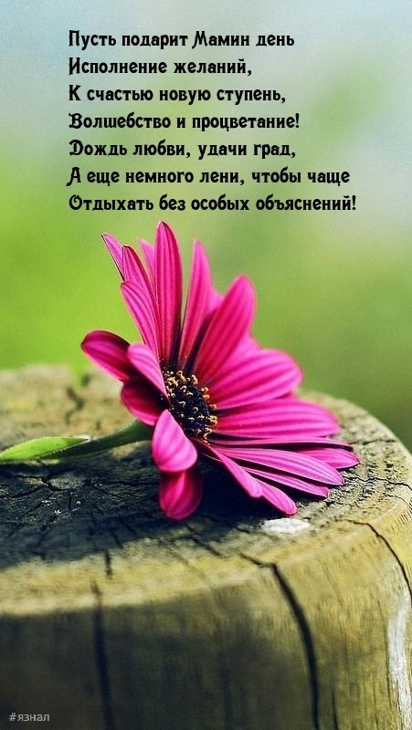 С днем Матери