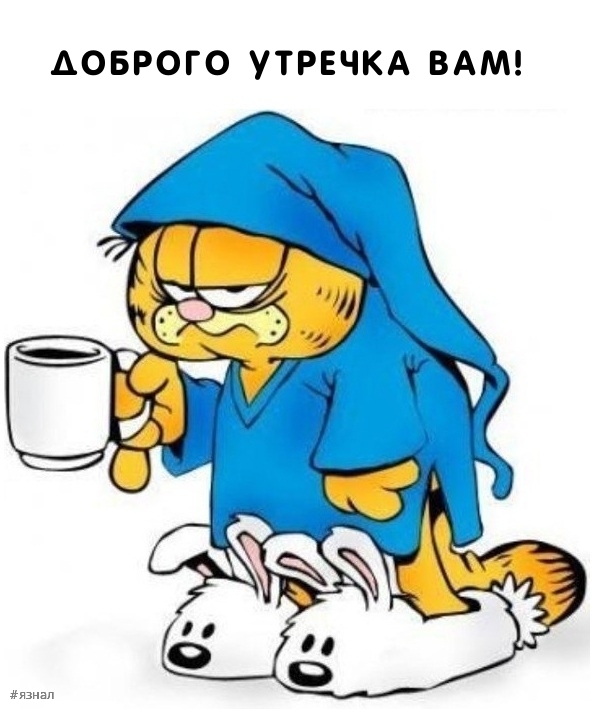 Приколы с добрым утром