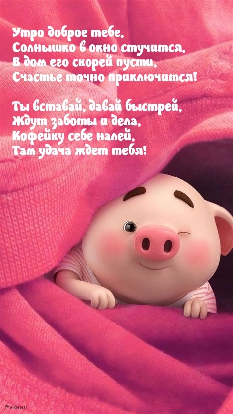 Приколы с добрым утром