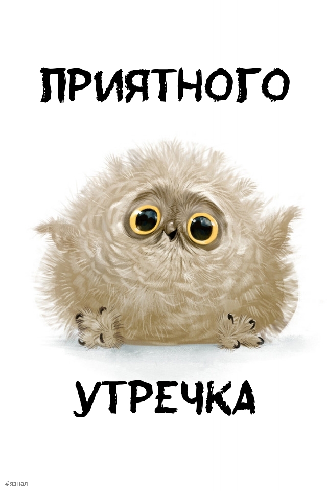 Приколы с добрым утром