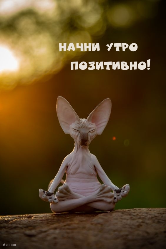 Приколы с добрым утром