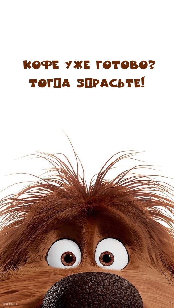Приколы с добрым утром