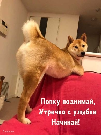Приколы с добрым утром
