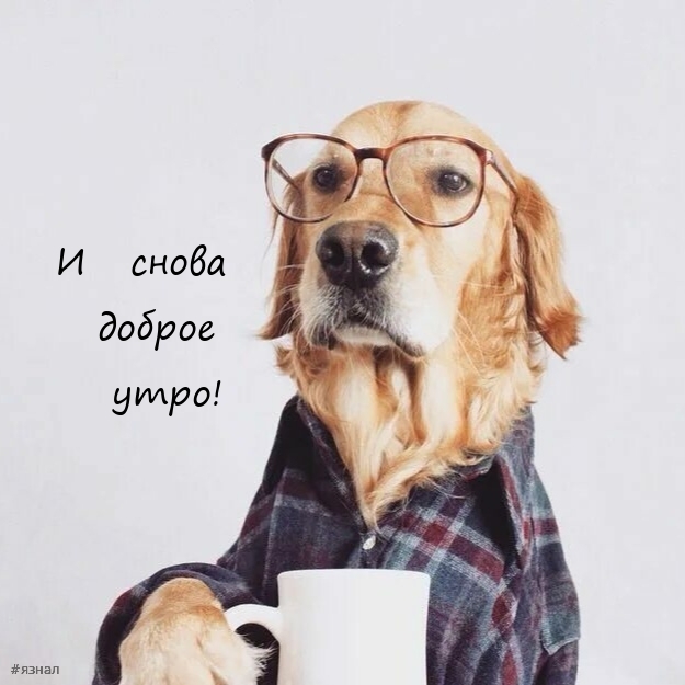 Приколы с добрым утром