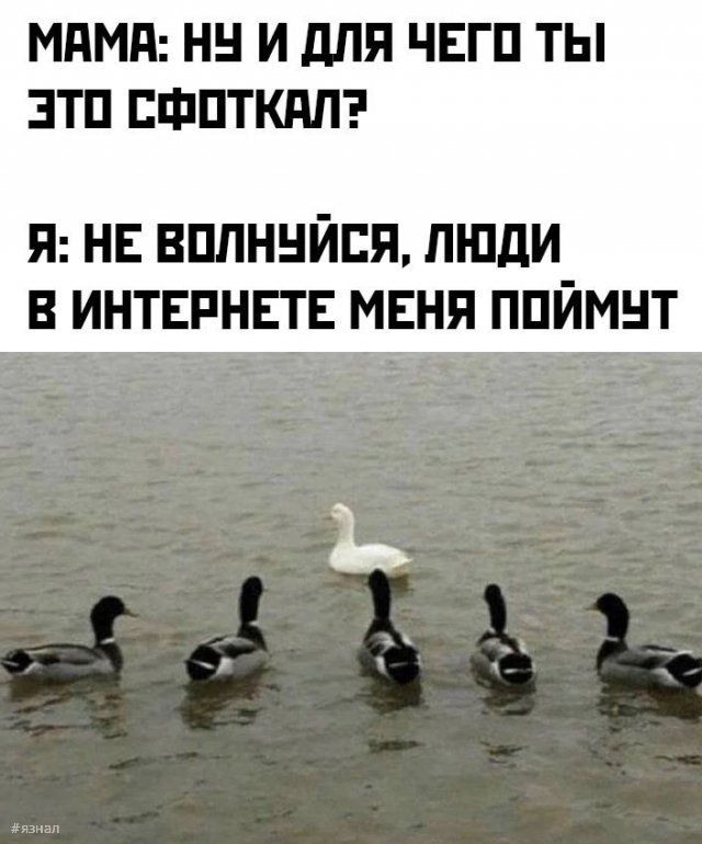 Кто в теме тот знает