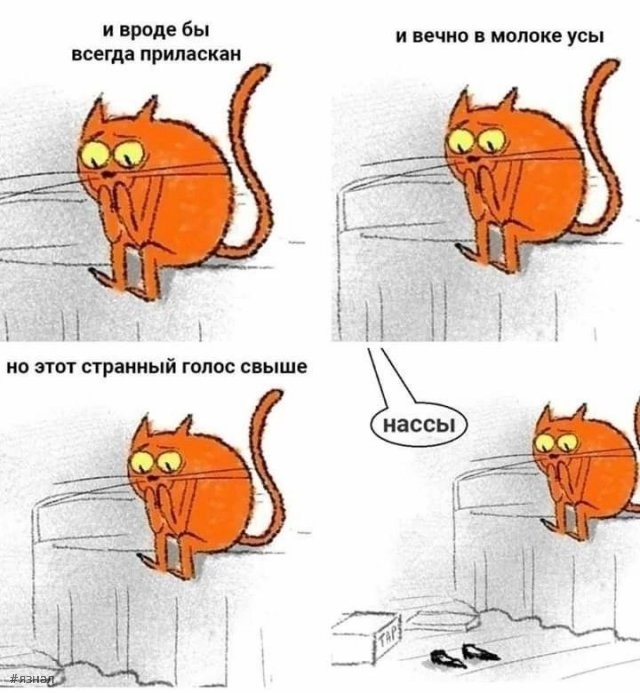 Смешные приколы