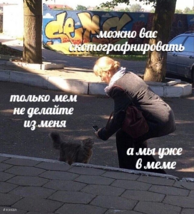 Смешные приколы