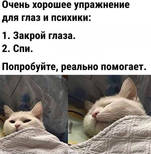 Смешные приколы