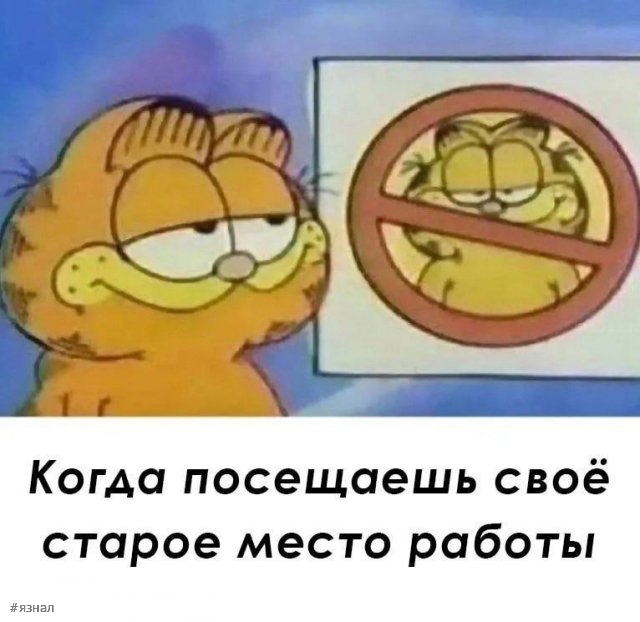 Смешные приколы