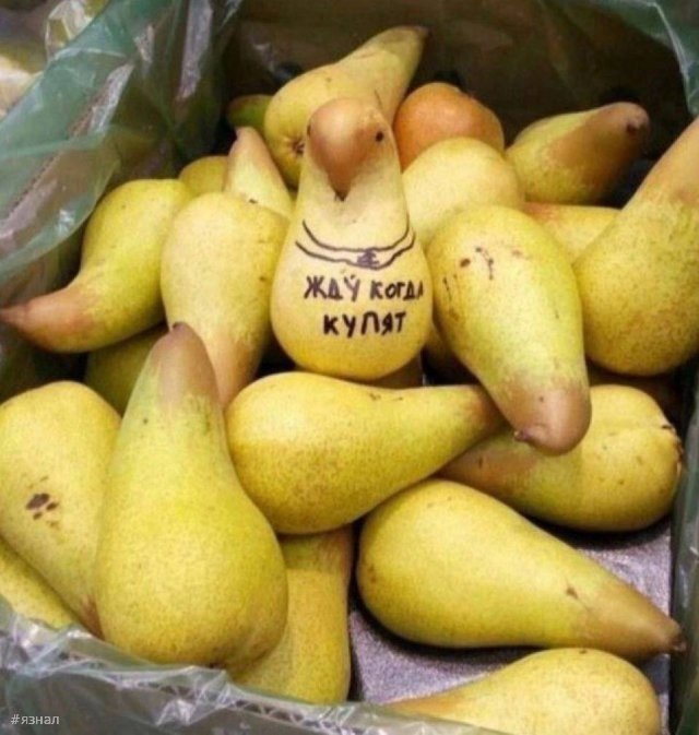 Смешные приколы