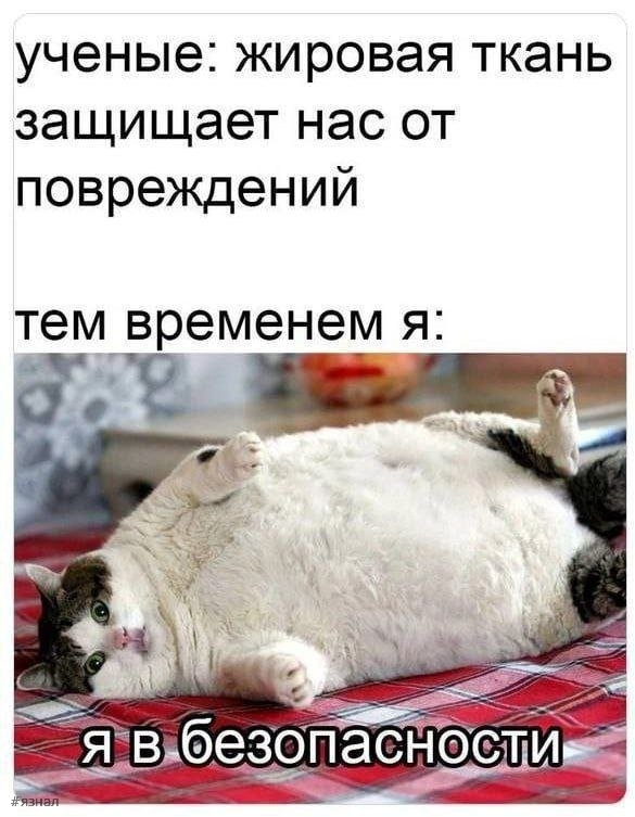 Смешные приколы