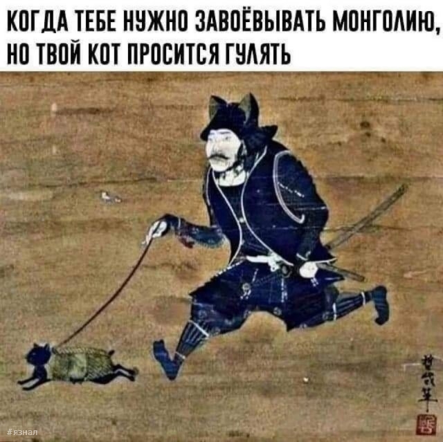 Смешные приколы