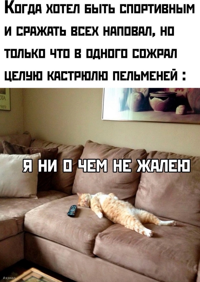 Смешные приколы