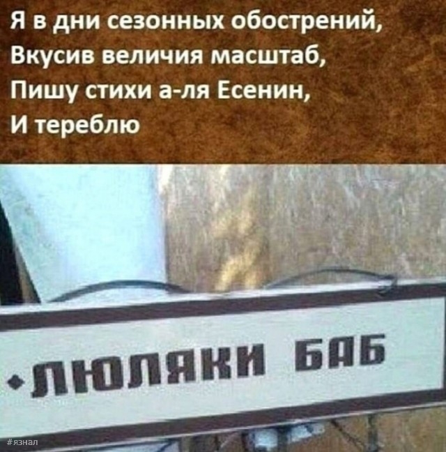 Смешные картинки на ЯЗнал