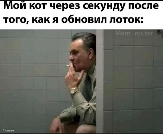 Смешные картинки на ЯЗнал