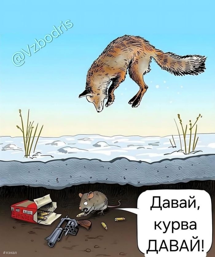 Смешные картинки с надписями