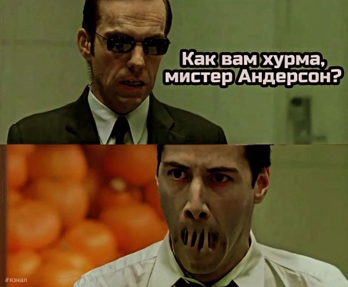 Смешные картинки с надписями