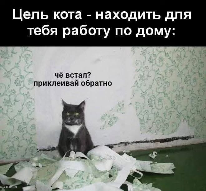 Смешные картинки с надписями