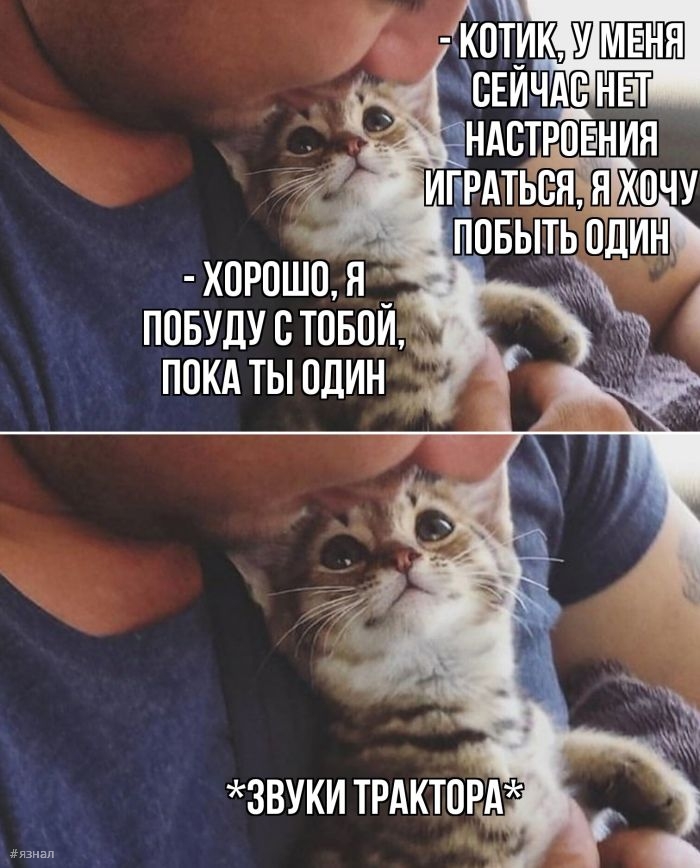 Смешные картинки с надписями
