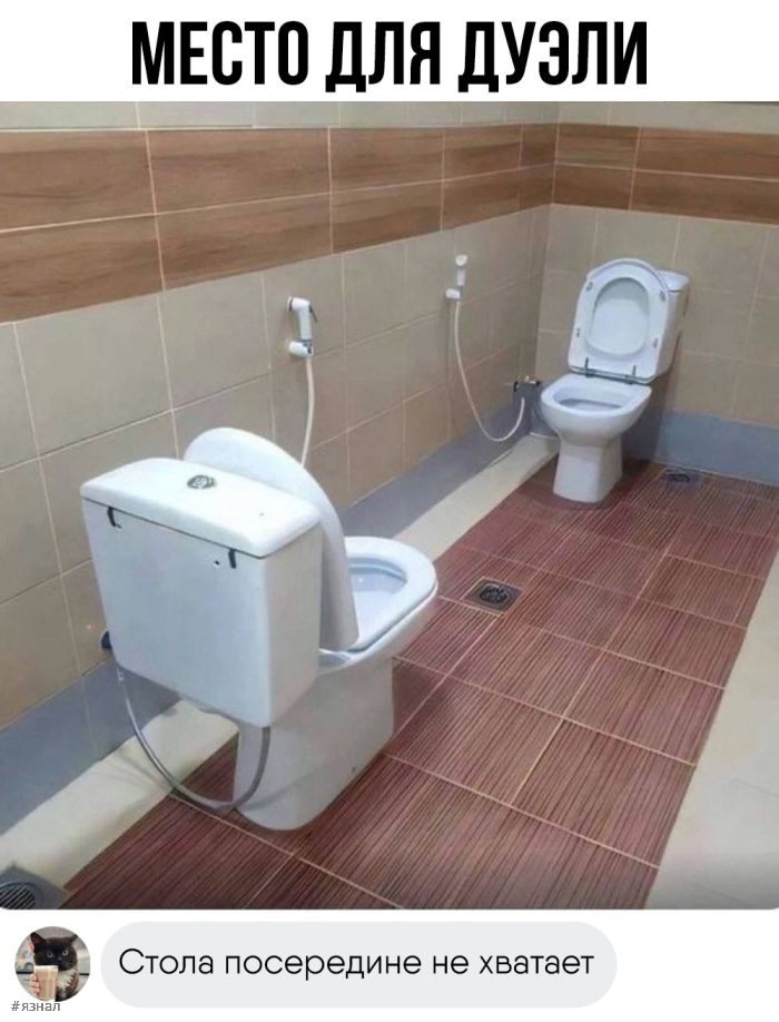 Смешные картинки с надписями