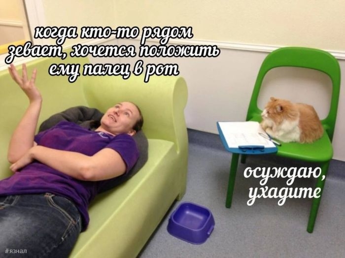 Смешные картинки с надписями