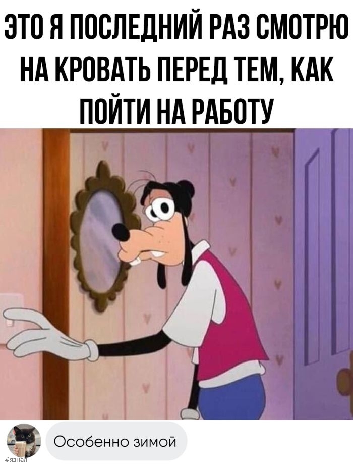 Смешные картинки с надписями