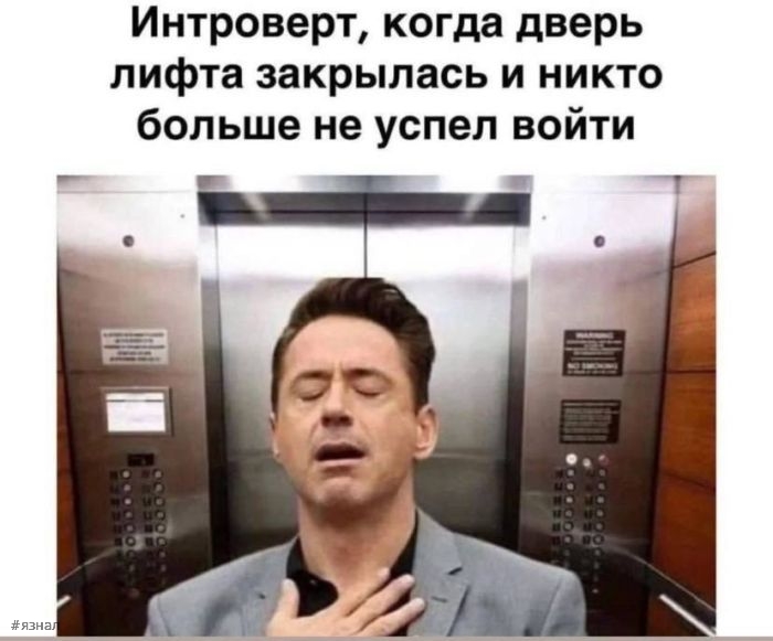 Смешные картинки с надписями