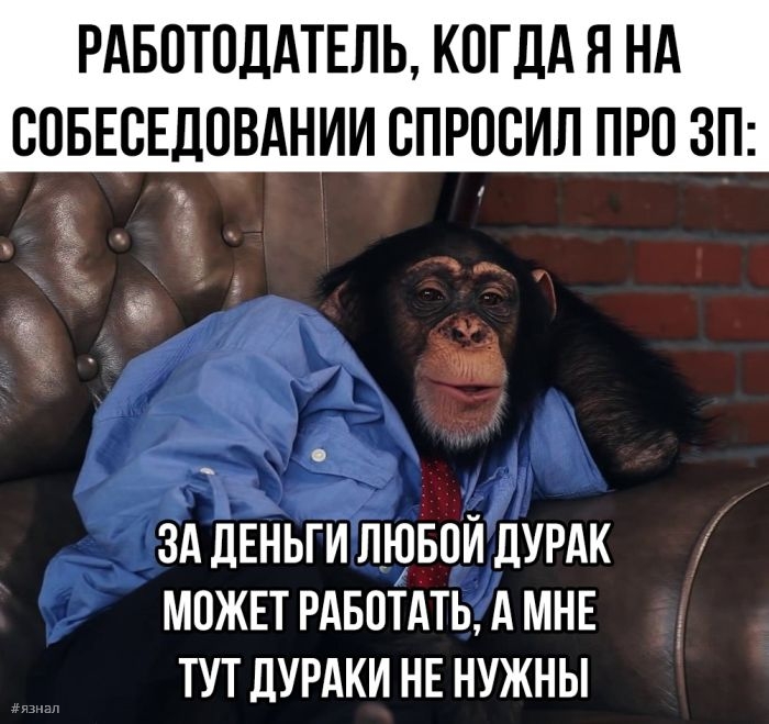 Смешные картинки с надписями