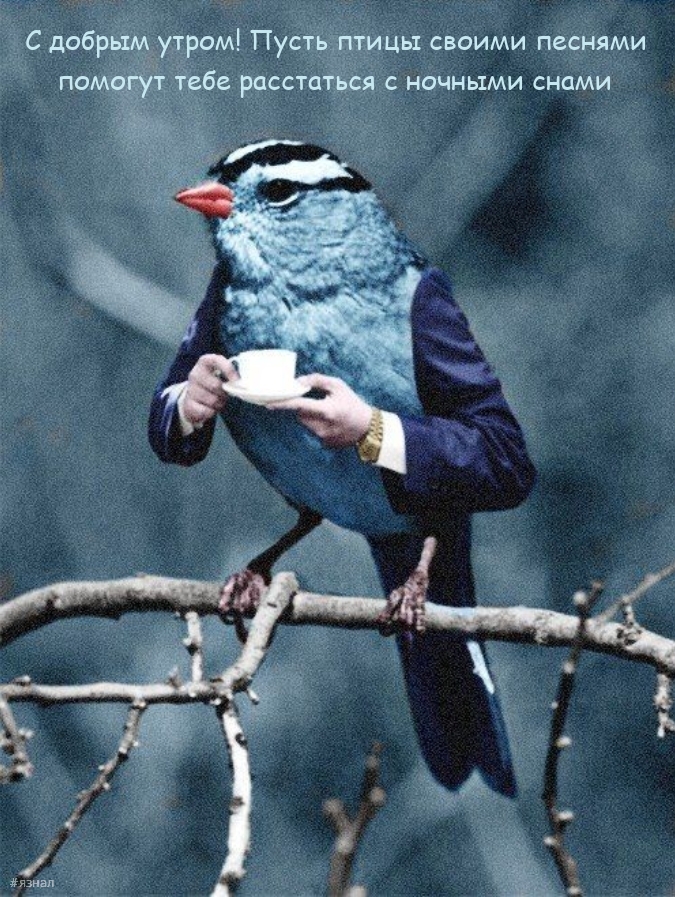 Доброе утро