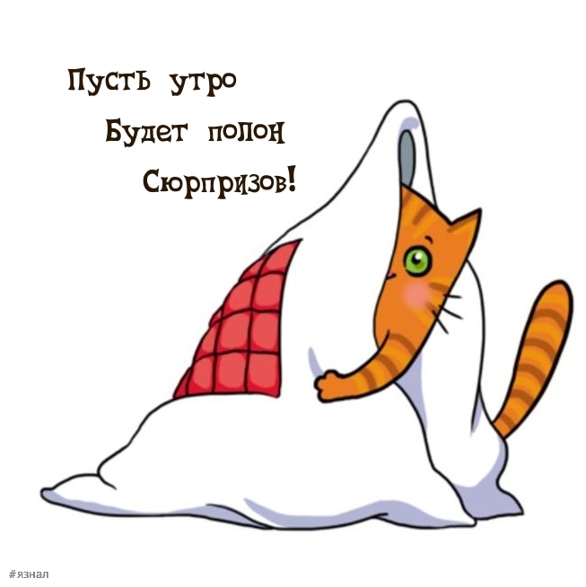 Доброе утро