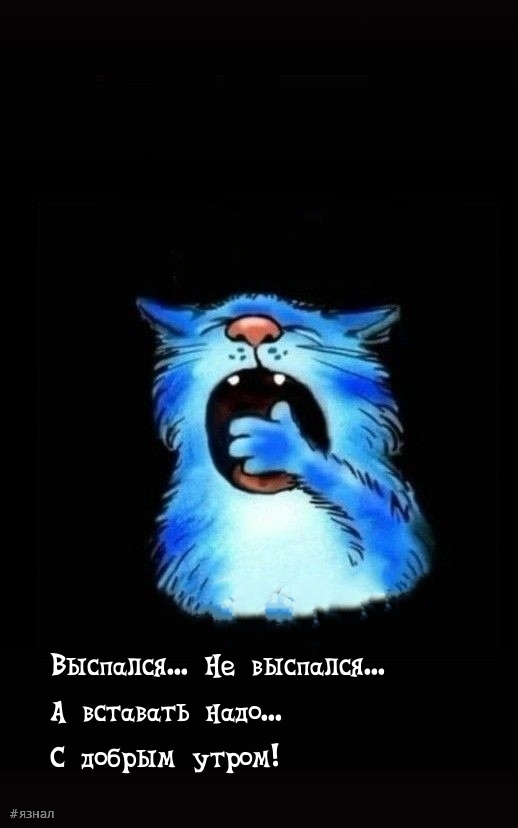 С добрым утром